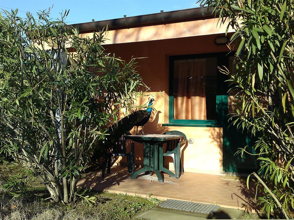 Lodge Holidays - Glamping San Marino Bagian luar foto
